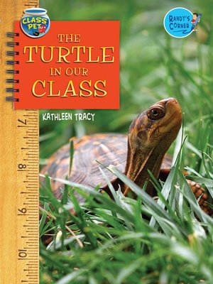 cover image of The Turtle in Our Class